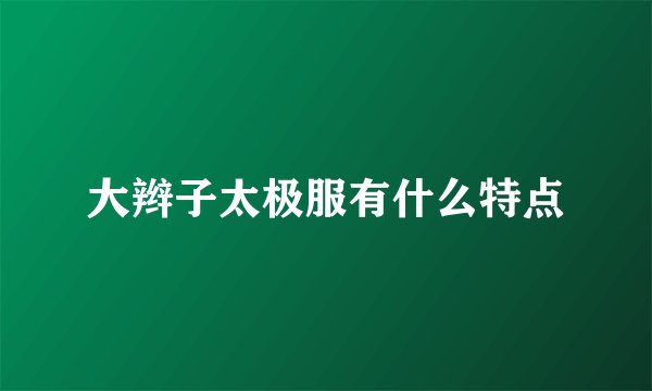 大辫子太极服有什么特点