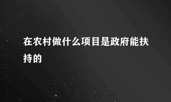 在农村做什么项目是政府能扶持的