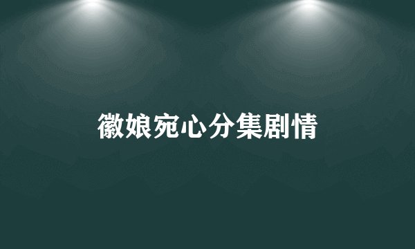 徽娘宛心分集剧情