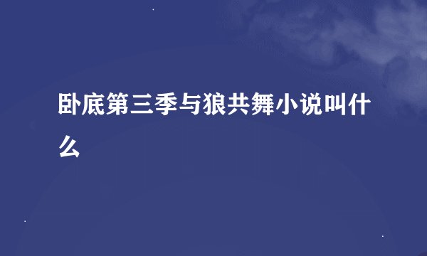 卧底第三季与狼共舞小说叫什么