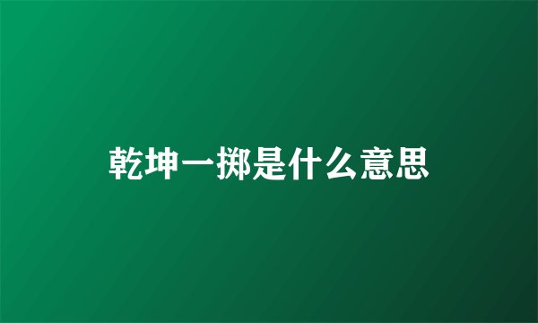 乾坤一掷是什么意思
