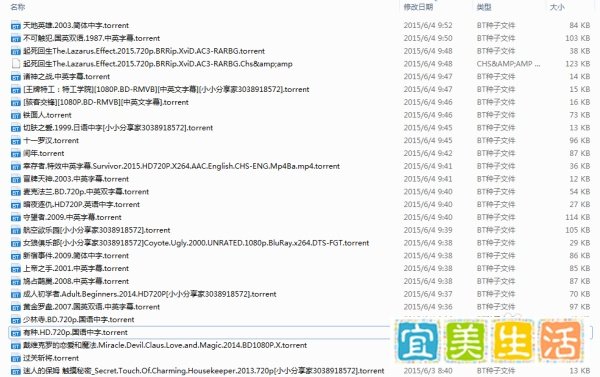 BT种子文件的两种使用方法