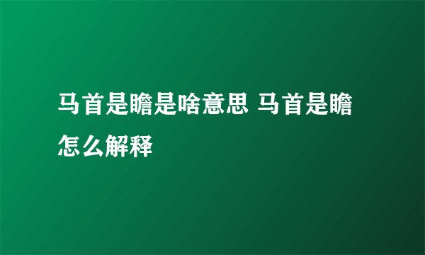 马首是瞻是啥意思 马首是瞻怎么解释