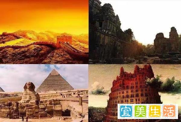 89、何为D之一族？