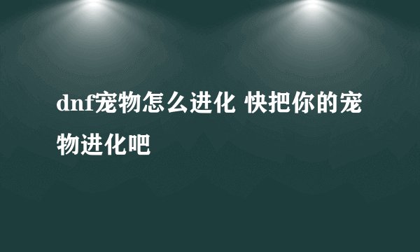 dnf宠物怎么进化 快把你的宠物进化吧