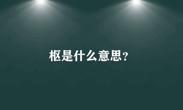 枢是什么意思？