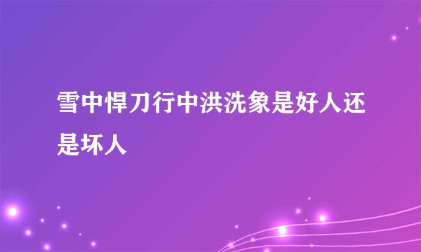 雪中悍刀行中洪洗象是好人还是坏人
