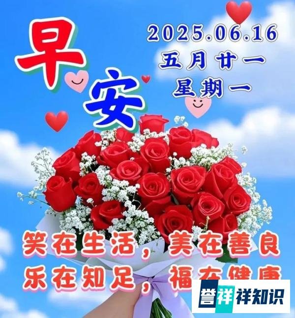 早上好祝福创意表情包图片带字带问候语，今日最新早上好问候语精