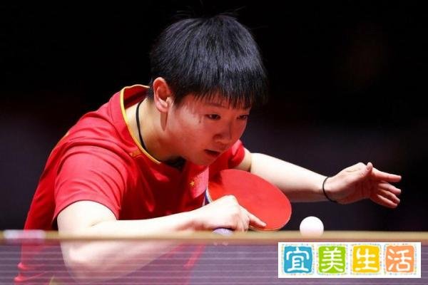 多哈世乒赛十九日赛程：国乒两遇神秘之师，孙颖莎双线出战