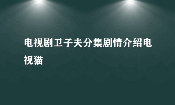 电视剧卫子夫分集剧情介绍电视猫