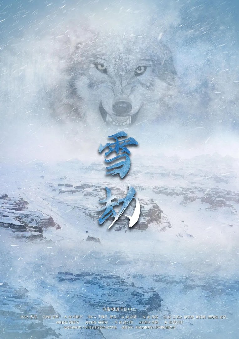 《雪劫》的剧情是什么？