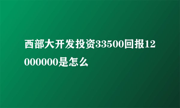 西部大开发投资33500回报12000000是怎么