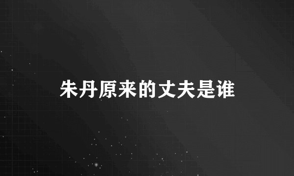 朱丹原来的丈夫是谁