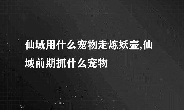 仙域用什么宠物走炼妖壶,仙域前期抓什么宠物