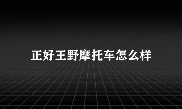 正好王野摩托车怎么样