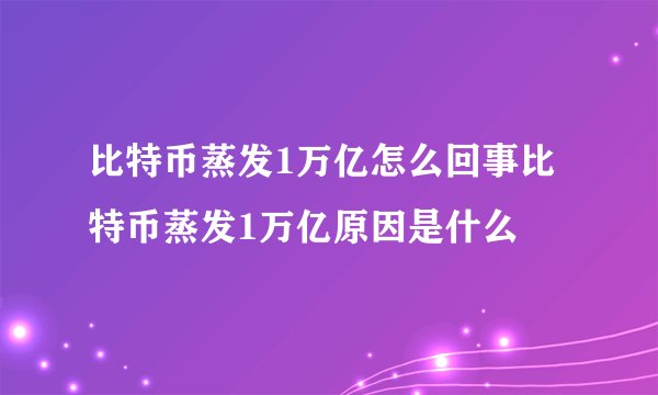 比特币蒸发1万亿怎么回事比特币蒸发1万亿原因是什么
