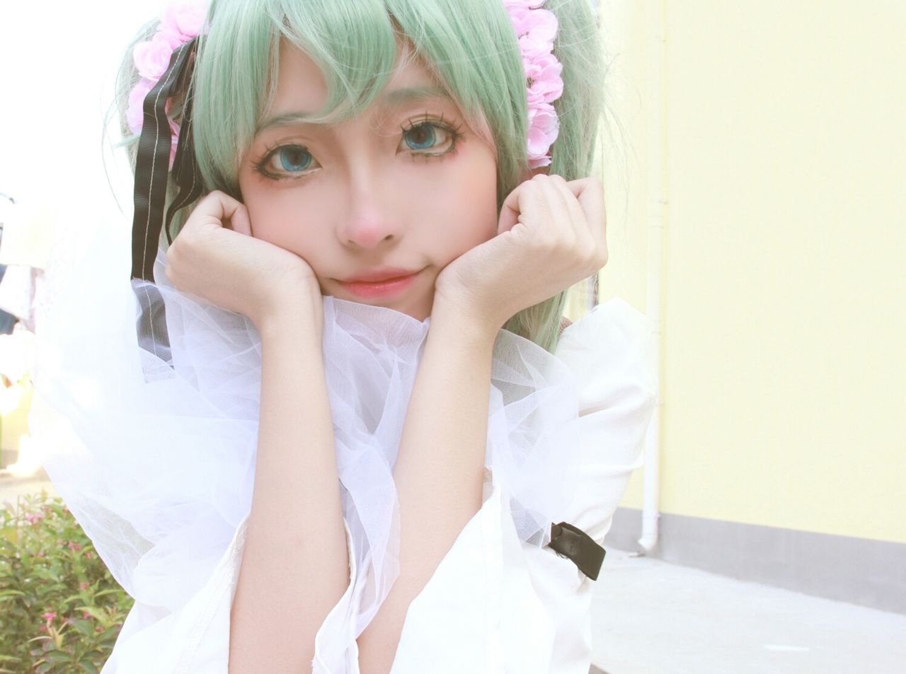 初音未来从头到尾都是喵喵喵的是什么歌？