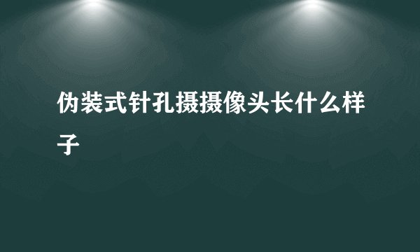 伪装式针孔摄摄像头长什么样子