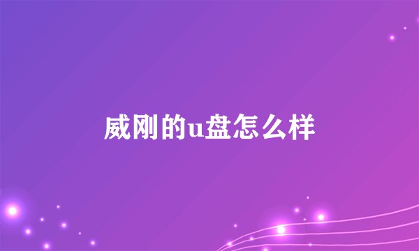 威刚的u盘怎么样