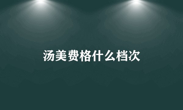 汤美费格什么档次