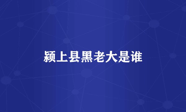 颍上县黑老大是谁