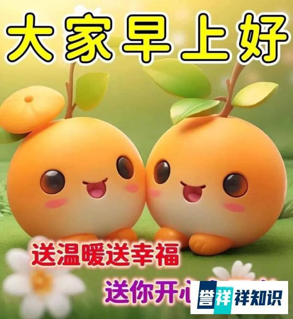 早上好祝福创意表情包图片带字带问候语，今日最新早上好问候语精