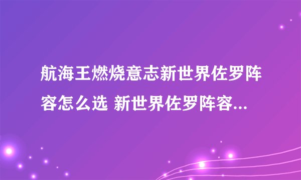 航海王燃烧意志新世界佐罗阵容怎么选 新世界佐罗阵容搭配推荐-高手进阶-安族网