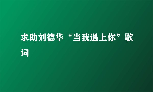 求助刘德华“当我遇上你”歌词