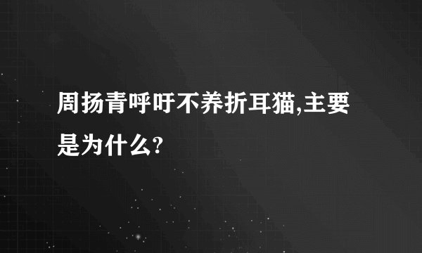周扬青呼吁不养折耳猫,主要是为什么?
