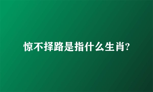 惊不择路是指什么生肖?