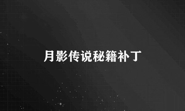 月影传说秘籍补丁