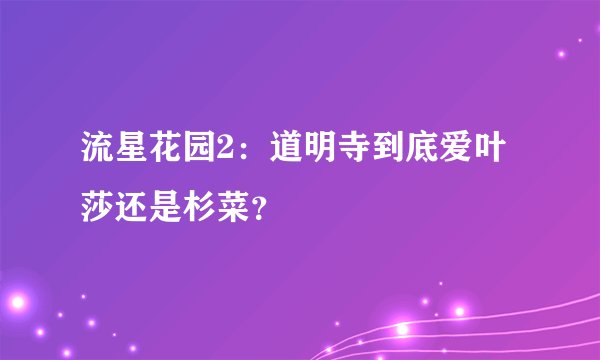 流星花园2：道明寺到底爱叶莎还是杉菜？