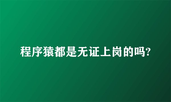 程序猿都是无证上岗的吗?