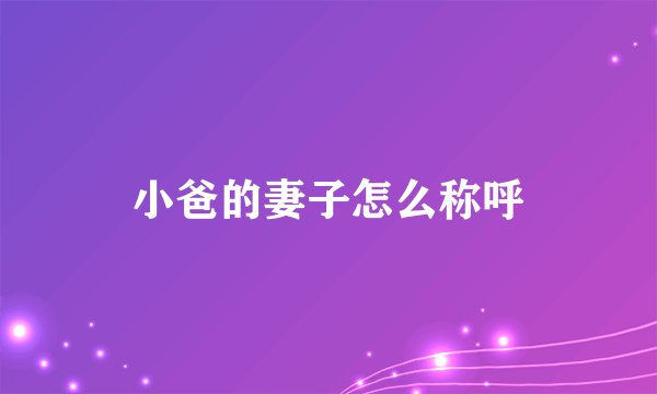 小爸的妻子怎么称呼