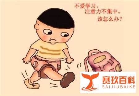 HSP间脑开发培训如何训练集中力的五个方法