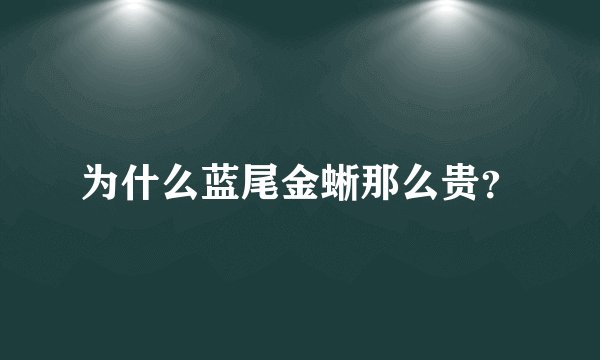 为什么蓝尾金蜥那么贵？