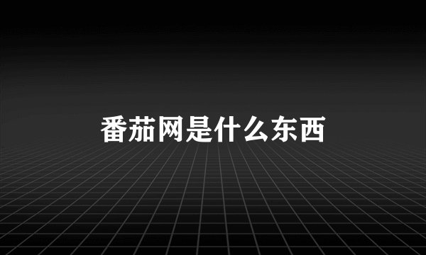 番茄网是什么东西