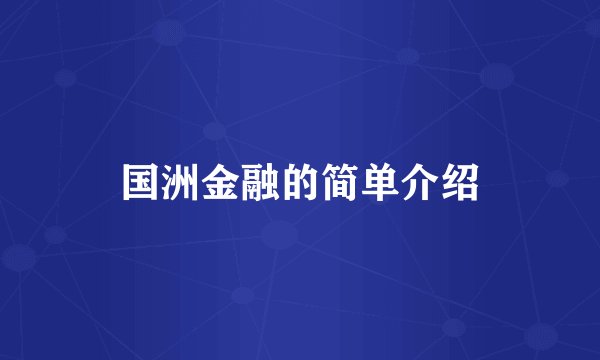 国洲金融的简单介绍