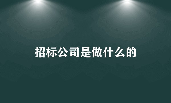 招标公司是做什么的