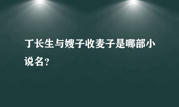 丁长生与嫂子收麦子是哪部小说名？