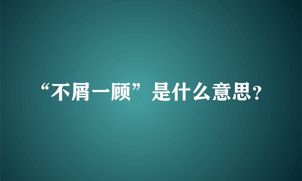 “不屑一顾”是什么意思？