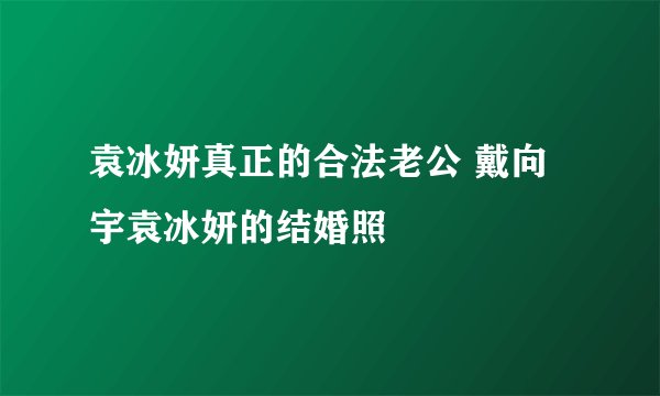 袁冰妍真正的合法老公 戴向宇袁冰妍的结婚照