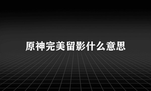 原神完美留影什么意思