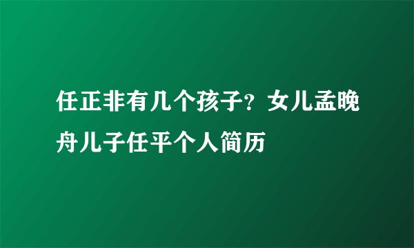 任正非有几个孩子？女儿孟晚舟儿子任平个人简历