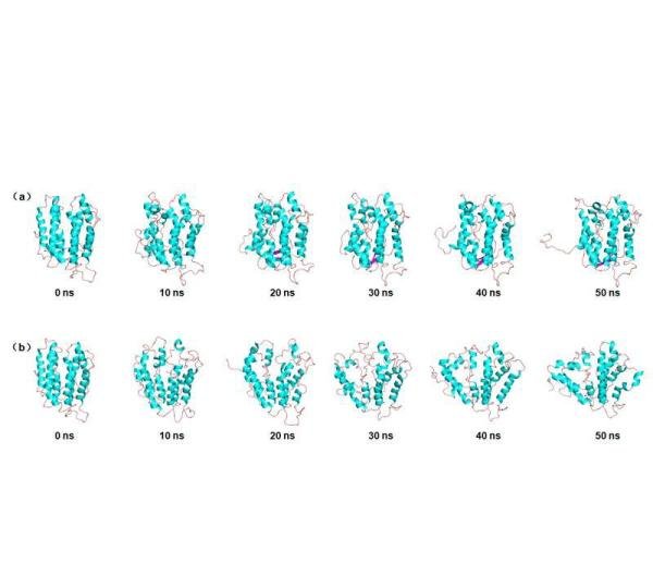 分子动力学