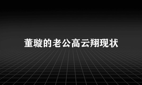 董璇的老公高云翔现状