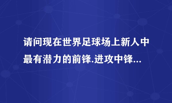 请问现在世界足球场上新人中最有潜力的前锋.进攻中锋.防守中锋.后卫,手门员都是哪些人啊.