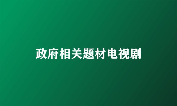 政府相关题材电视剧