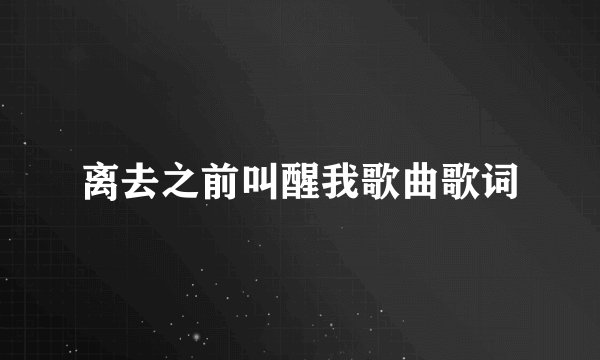离去之前叫醒我歌曲歌词