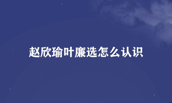 赵欣瑜叶廉选怎么认识